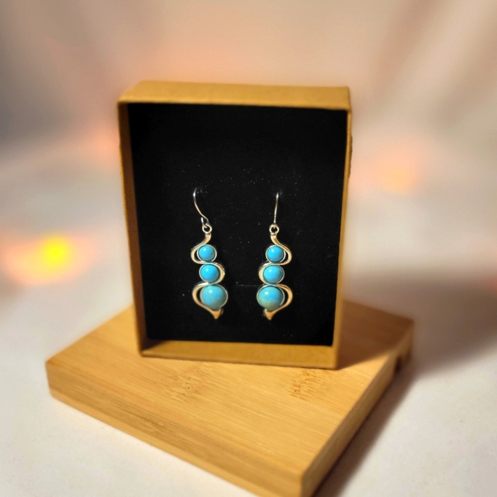 ✨️ Drip Dangle Earrings